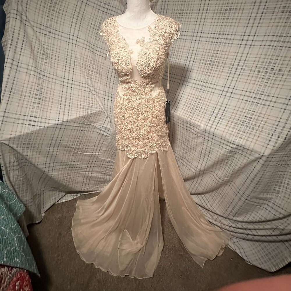 Champagne Lace & Sheer Gown